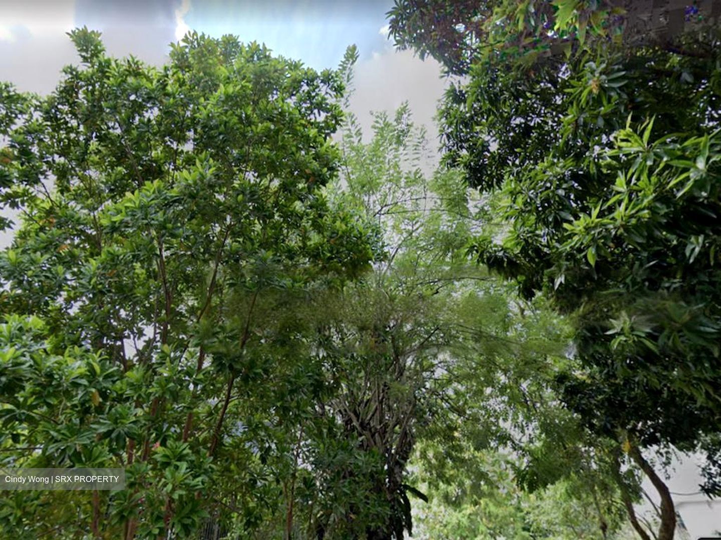 Raffles Park (D11), Detached #458902581